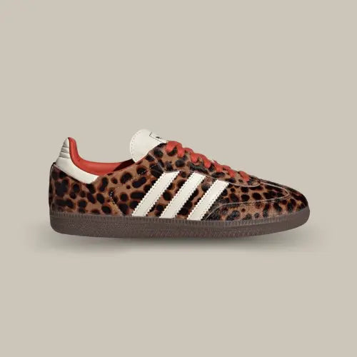 La Adidas Samba OG Preloved Red Leopard avec sa base en motif léopard et ses trois bandes blanches assorties à la languette et au heel tab. On retrouve également des lacets rouges qui concorde avec l'intérieur rouge de la chaussure.