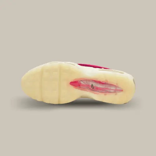 La semelle de la Nike Air Max 95 Anatomy of Air.