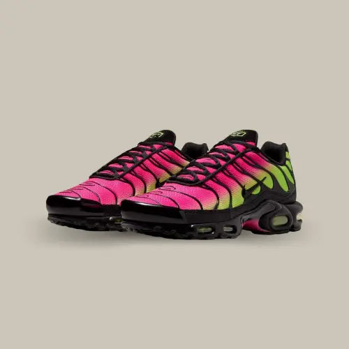 Air Max Plus Hyper Pink Volt Black disponible sur Offsneakz