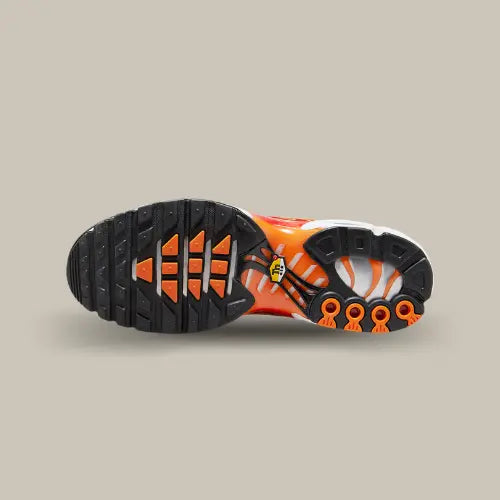 Semelle extérieure de la Nike Air Max Plus Light Photography - Offsneakz