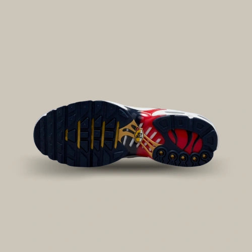 La semelle de la Nike Air Max Plus TN PSG. Disponible sur Offsneakz.