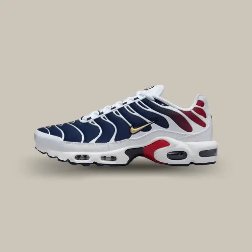 Nike Air Max Plus TN PSG Offsneakz