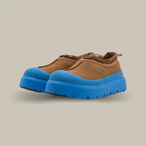 UGG Tasman Weather Hybrid Slipper Chestnut Big Sky – version hybride marron et bleue, design audacieux et semelle oversize, disponible sur Offsneakz.