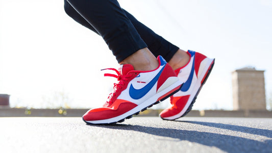 Nike Pegasus Forrest Gump