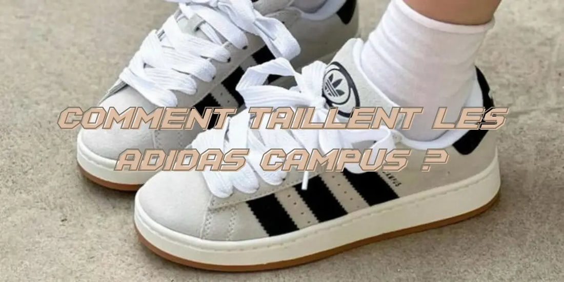 Comment taillent les Adidas Campus ?