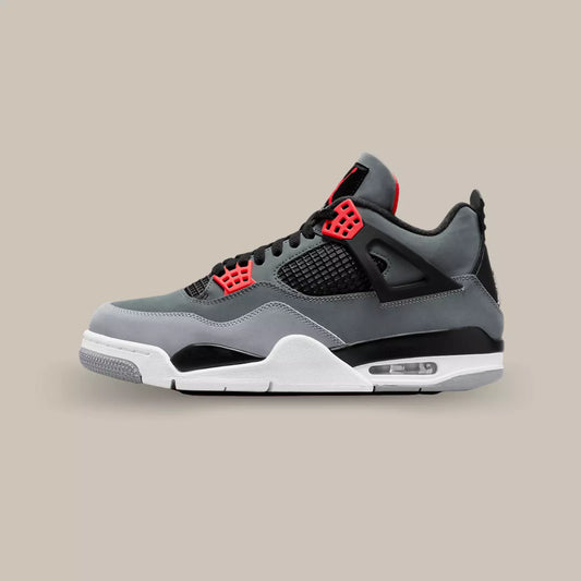 La Jordan 4 Red infrared de profil avec sa couleur grise et noir, ses œillets rouges, sa cage en TPU noire et ses wings noires.