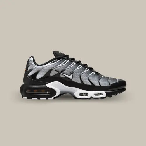 La Nike Air Max PLus Black Grey de côté avec son dégradé allant du gris foncé au gris clair.