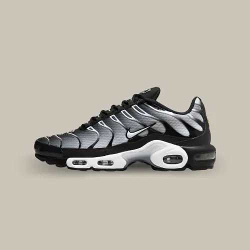 La Nike Air Max PLus Black Grey de côté avec son dégradé allant du gris foncé au gris clair.