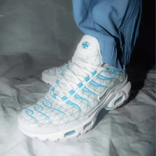 Nike Air Max Plus TN Marseille Offsneakz