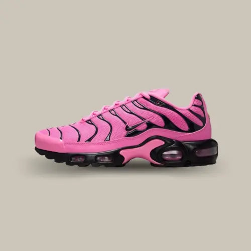 Nike Air Max Plus Pink Black vue latérale avec dégradé rose et cage noire emblématique TN - Offsneakz.