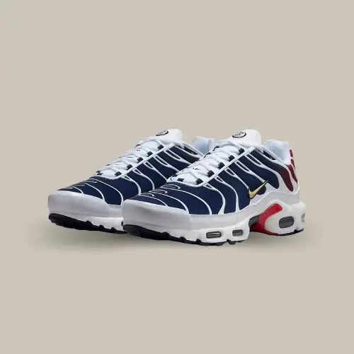 Nike air max tn bleu marine discount