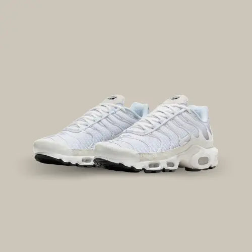 Nike Air Max Plus Pure Platinum vue de face en paire - Offsneakz