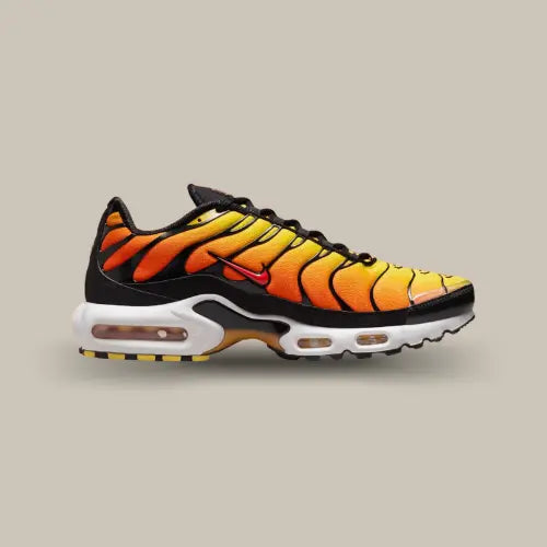 Nike Air Max Plus Sunset 2024 coloris Sunset orange noir avec cage TN emblématique - Offsneakz.