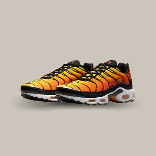 Nike Air Max Plus Sunset 2024 vue avant avec dégradé orange jaune iconique et design Nike TN - Offsneakz.