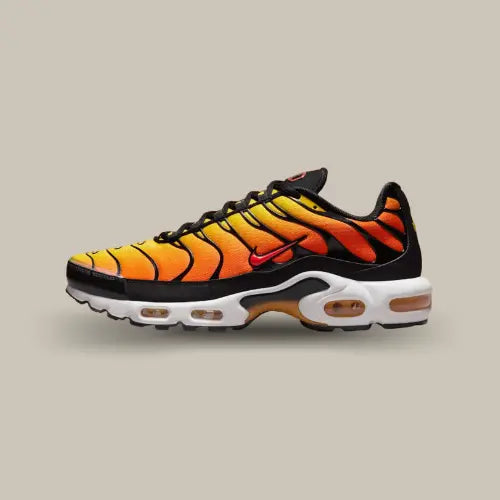 Nike Air Max Plus Sunset 2024 vue latérale avec upper dégradé sunset et unité Air visible - Offsneakz.