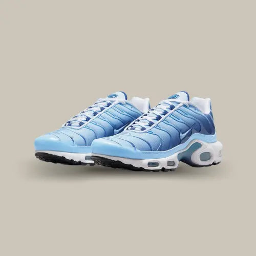 Paire Nike Air Max Plus University Blue Gradient avec dégradé bleu ciel et silhouette iconique TN - Offsneakz.