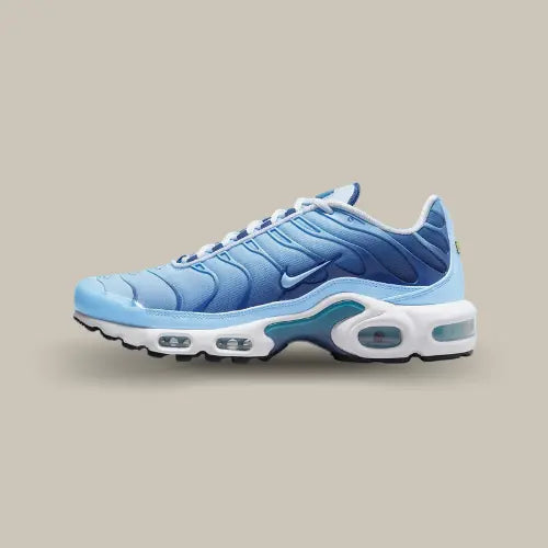 Nike Air Max Plus University Blue Gradient vue latérale avec dégradé bleu et technologie Tuned Air - Offsneakz