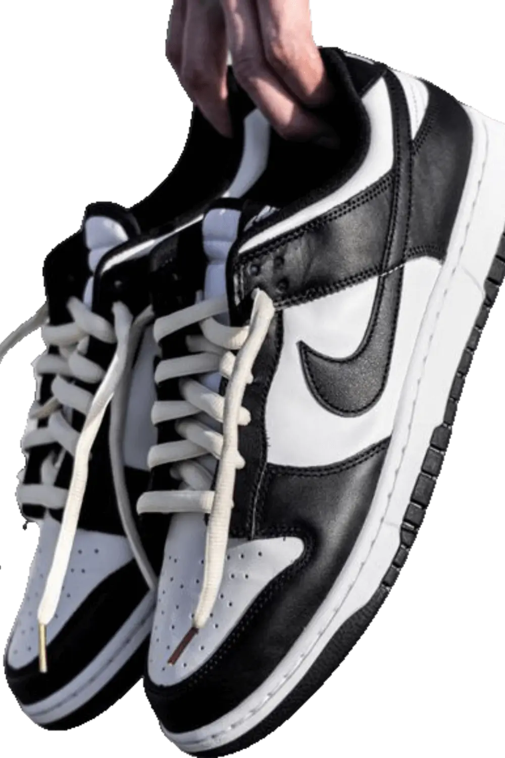 Une paire de Nike Dunk Black tenue par une main sur un fond transparent.