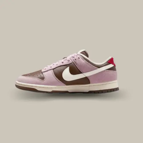 Nike Dunk Low Neapolitan vue latérale gauche - sneaker aux tons chocolat, fraise et vanille disponible sur Offsneakz.