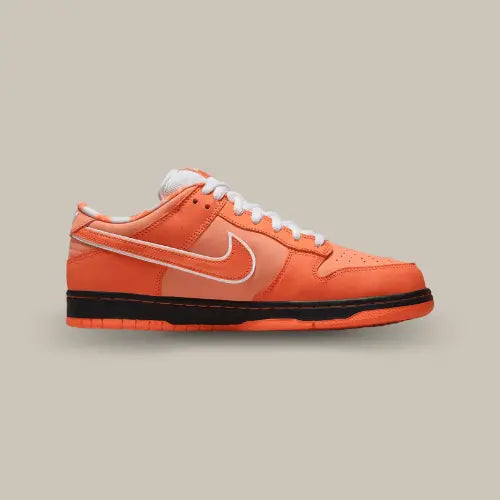 La Nike SB Dunk Low Concepts Orange Lobster de côté avec sa couleur orange.
