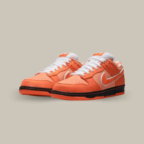 La Nike SB Dunk Low Concepts Orange Lobster possède une base en suède aux différentes nuances d'orange. On retrouve une touche de blanc sur la languette rembourré, les lacets et le contour du swoosh. On retrouve également une midsole noir avec une outsole orange.