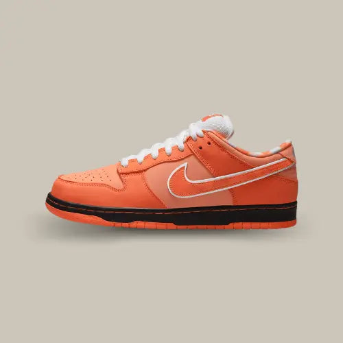 La Nike SB Dunk Low Concepts Orange Lobster de côté avec sa couleur orange.