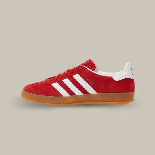 La Adidas Gazelle Indoor Scarlet Cloud White de coté avec son suède rouge, ses trois bandes en cuir blanc et sa semelle en gomme de caoutchouc.